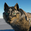 Logo du mod HuskyWolf